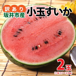 【ふるさと納税】【先行予約】【訳あり】小玉すいか 2玉 坂井市産【2023年7月以降順次発送予定】/ スイカ 不揃い 画像1