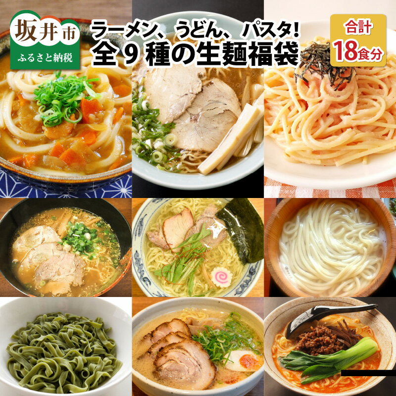 麺好き必見！生麺福袋 （ラーメン5種・うどん2種・パスタ2種）9種 × 各2食 計18食 / お家ごはん 手軽 料理 めん