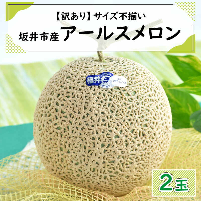 【ふるさと納税】【先行予約】【訳あり】坂井市産 アールスメロン 2玉 【2024年9月上旬以降順次発送予定】