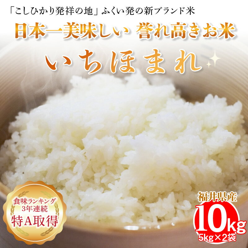 【ふるさと納税】【試食PR用】米 福井県産 いちほまれ10kg