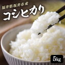 【ふるさと納税】【令和6年産】 福井県 坂井市産米 コシヒカリ 5kg (白米) 【お米 米 こめ コメ こしひかり 白米 5キロ 精米 ブランド米 ふるさと納...