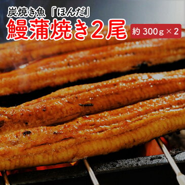 【ふるさと納税】【コロナ訳あり】【緊急支援】丸岡城下の、地元に愛されるお店!「炭魚ほんだ」の鰻蒲焼き 約300g × 2尾(4人前)