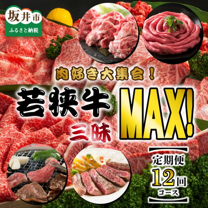 【定期便 12回コース】 坂井市産 福井県産 肉好き大集合！若狭牛三昧MAX！！ 定期便！！ 【すき焼き しゃぶしゃぶ 1年間 】【食べ比べ 切り落とし 若狭牛 国産和牛 黒毛和牛 黒毛和種 ブランド牛 和牛 肉 牛 牛肉 ステーキ 焼肉 福井県産 国産 冷凍 人気】