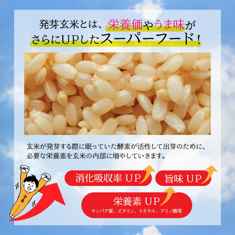 【ふるさと納税】【令和5年産】【発芽玄米】 無農薬コシヒカリ「特選」 特別栽培米使用 1袋 / 2袋 / 3袋 / 5袋 (3kg～15kg) 【選べる個数】【無洗米 米 お米 こしひかり 白米 玄米 ギャバ GABA 無農薬 特別栽培 食物繊維 栄養 ごはん ご飯 おいしい ふるさと納税米】 3