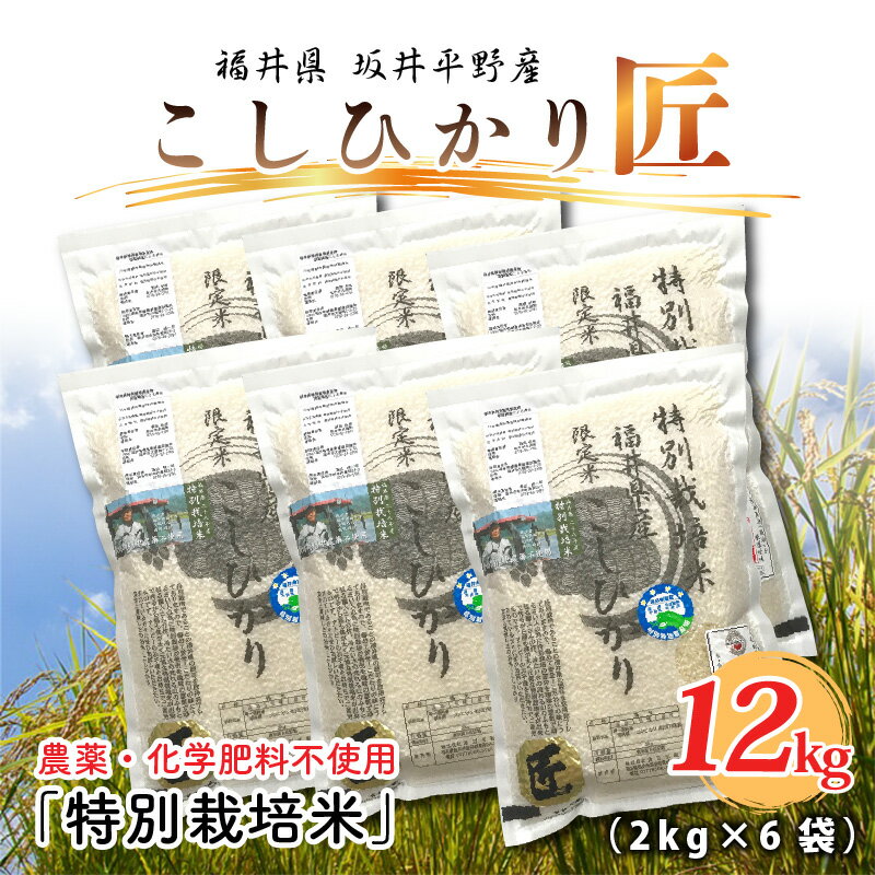 【ふるさと納税】【先行予約】【令和4年産新米】 無農薬・無化学肥料栽培コシヒカリ匠 12kg(2kg×6袋) 【2022年9月下旬以降順次発送予定】/コシヒカリ こしひかり 白米 玄米 お米