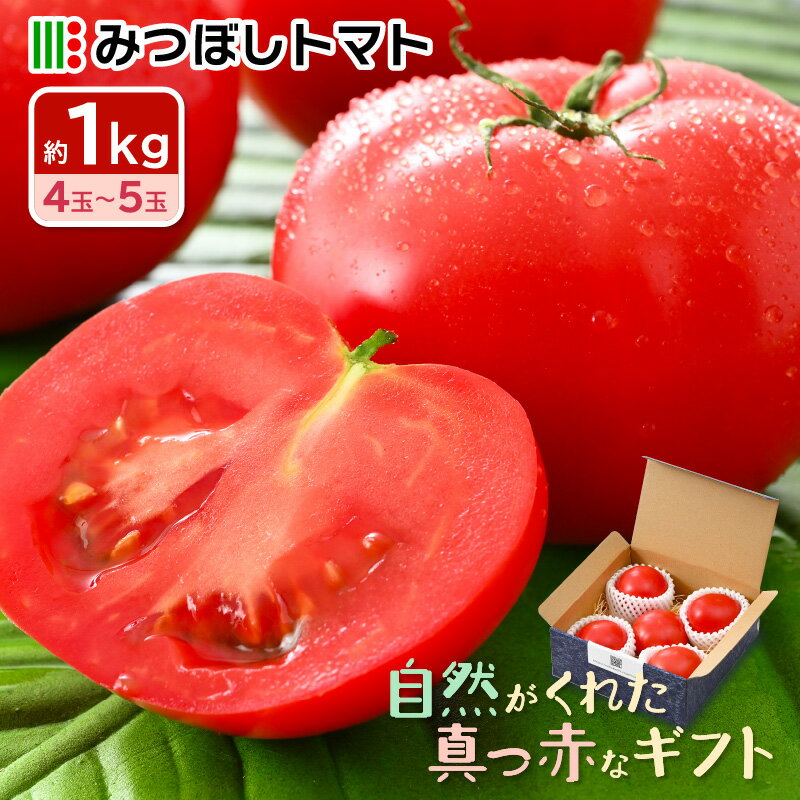 【ふるさと納税】【期間限定】みつぼしトマト☆自然がくれた真っ赤なギフト 約1kg