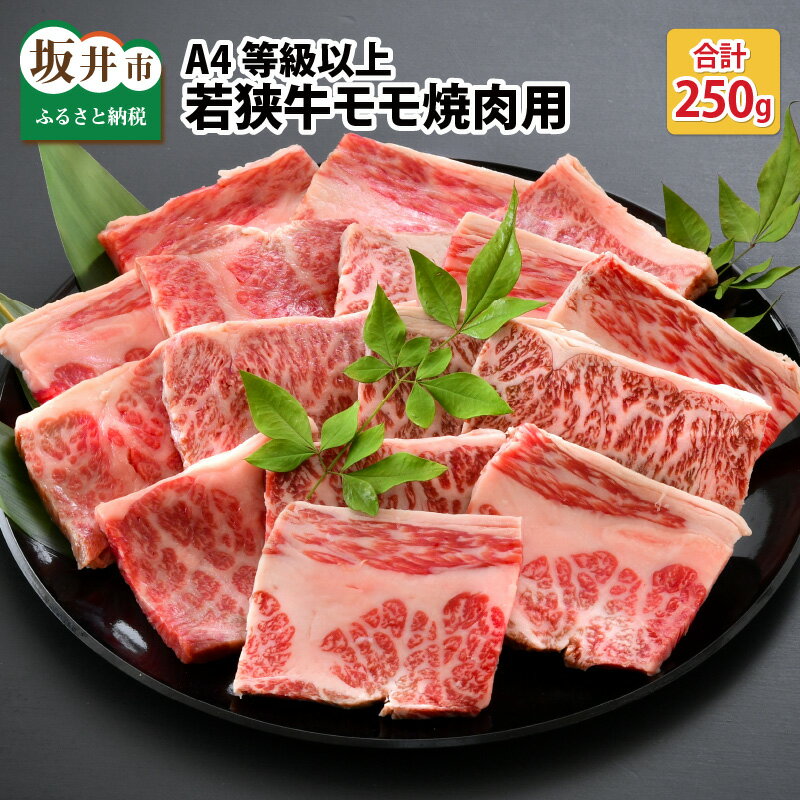 全国お取り寄せグルメ福井牛肉No.30