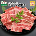 【ふるさと納税】A4等級以上若狭牛モモ焼肉用 250g 【若狭牛 焼肉 焼き肉 A4 等級 国産和牛 黒毛和牛 黒毛和種 ブランド牛 和牛 肉 牛 牛肉 もも肉 モモ肉 坂井市 福井県産 国産 冷凍】