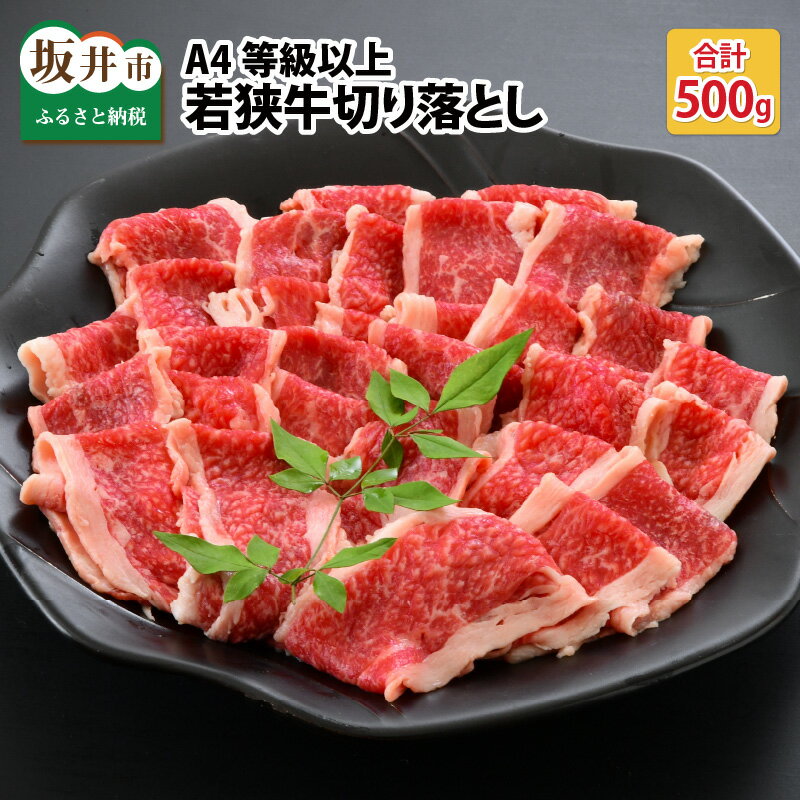 A4等級以上若狭牛切り落とし 500g 【若狭牛 焼肉 焼き肉 A4 等級 国産和牛 黒毛和牛 黒毛和種 ブランド牛 和牛 肉 牛 牛肉 切り落とし 坂井市 福井県産 国産 冷凍】