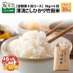 【ふるさと納税】【先行予約】【令和7年産・新米】 【6ヶ月連続お届け】定期便 清流こしひかり 竹田米 5kg × 6回 計30kg 【精米方法をお選びいただけます:白米 / 玄米】 【2025年9月下旬以降順次発送予定】【米 お米 こめ 精米 ブランド米 ふるさと納税米 産地直送】