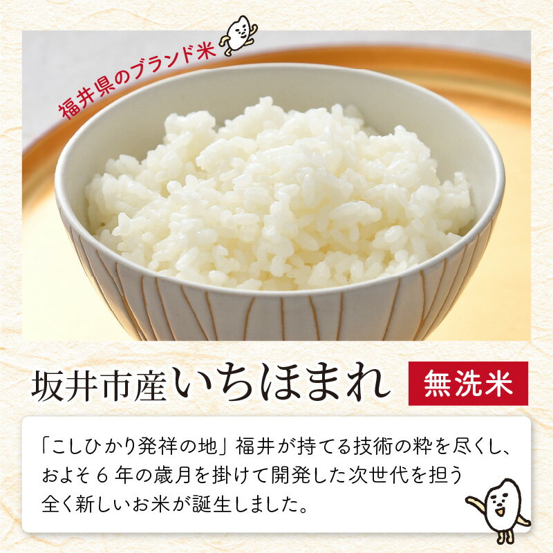 【ふるさと納税】【先行予約】【令和4年産】福井県のブランド米 いちほまれ 無洗米 2kg【2022年9月下旬以降順次発送予定】 /こめ お米