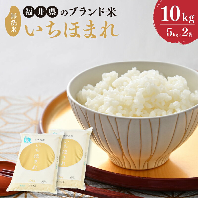 【ふるさと納税】【令和5年産】福井県のブランド米 いちほまれ 無洗米 10kg （5kg × 2袋）【 無洗米 人気 品種 ブランド米 特A 】