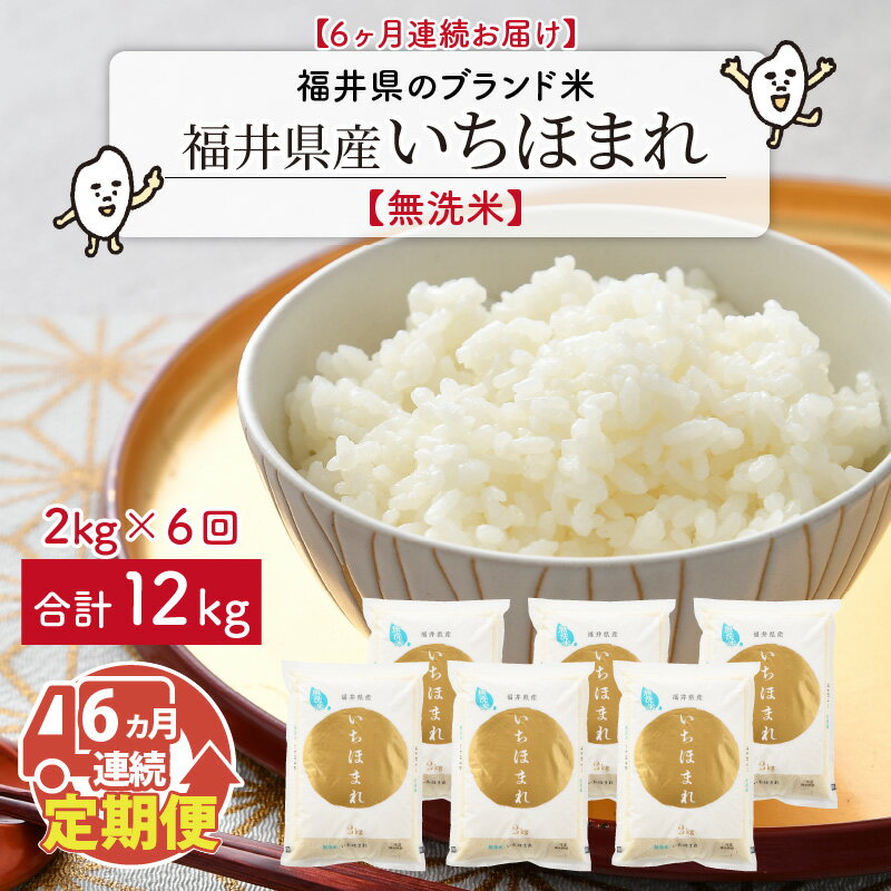 【ふるさと納税】【令和5年産】定期便 ≪6ヶ月連続お届け≫ 福井県のブランド米 いちほまれ 無洗米 2kg × 6回 計12kg【 無洗米 人気 品種 ブランド米 特A 】