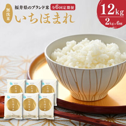 【令和5年産】定期便 ≪6ヶ月連続お届け≫ 福井県のブランド米 いちほまれ 無洗米 2kg × 6回 計12kg【 無洗米 人気 品種 ブランド米 特A 】