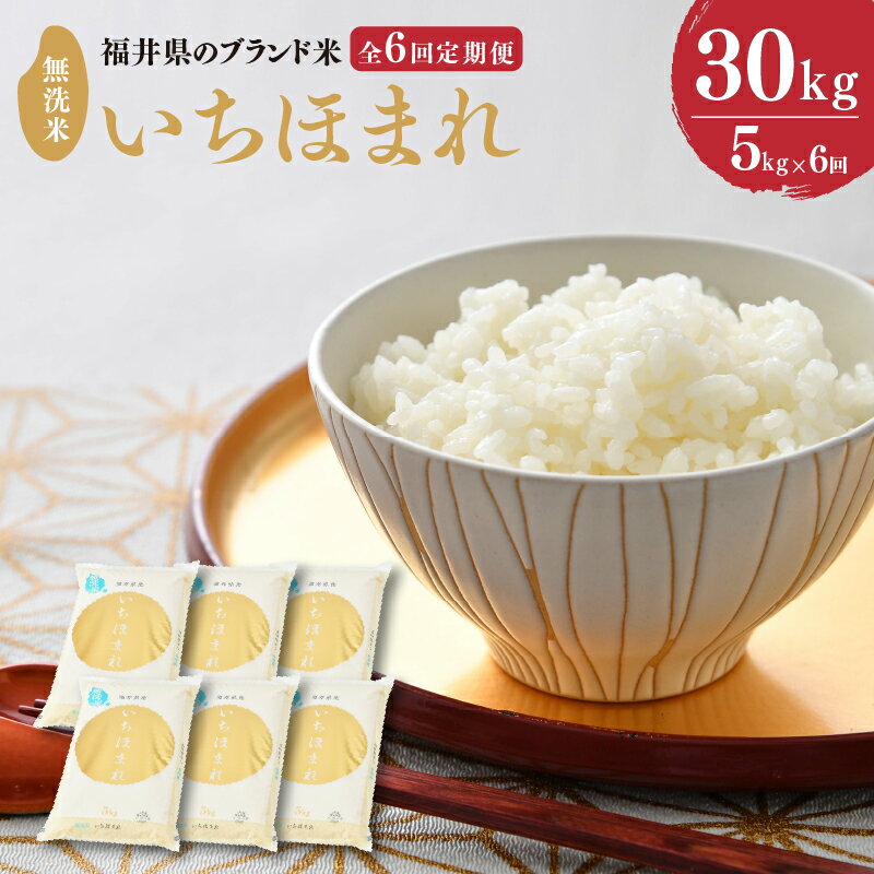 8位! 口コミ数「1件」評価「5」【令和5年産】定期便 ≪6ヶ月連続お届け≫ 福井県のブランド米 いちほまれ 無洗米 5kg × 6回 計30kg【 無洗米 人気 品種 ブラ･･･ 