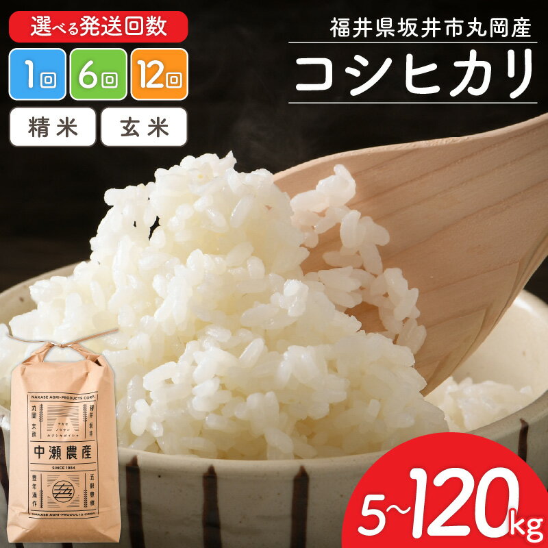楽天市場】新米 5kg(産地(都道府県)福井)の通販 楽天市場】新米 5kg(産地(都道府県)福井)の通販