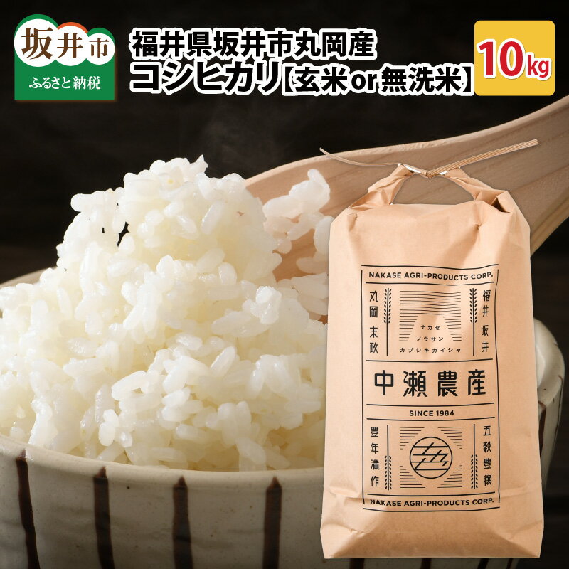 【ふるさと納税】【先行予約】【令和4年産新米】福井県坂井市丸岡町産 コシヒカリ 10kg（玄米or無洗米）【2022年9月下旬以降順次発送予定】 /玄米 無洗米 お米