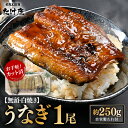 【ふるさと納税】【50セット限定】無頭 うなぎ 白焼き1尾 (約250g) 3カット済 特製自家製たれ付き 【冷凍】 【ウナギ 鰻 蒲焼 鰻蒲焼 鰻白焼 肉厚 ジューシー 惣菜 和食 簡単調理】