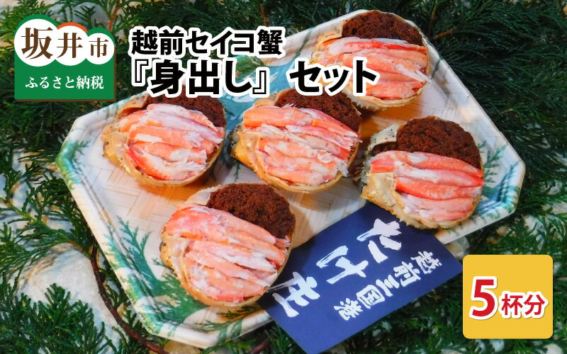 【ふるさと納税】【先行予約】越前セイコ蟹『身出し』セット 5杯分【2025年11月〜2026年1月発送予定】【三国 坂井市 せいこがに セイコガニ ズワイガニ ...