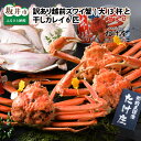 【ふるさと納税】【先行予約】 訳あり カニ ≪茹で≫越前ズワイ蟹(大) 3杯 と 干しカレイ 6匹【2026年1月〜3月発送】越前がに 越前ガニ ズワイガニ 国...
