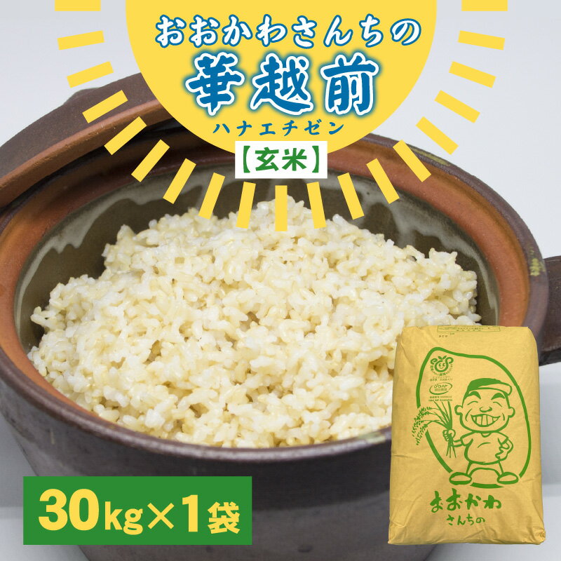 【ふるさと納税】【令和5年産】おおかわさんちの華越前 玄米 30kg /ハナエチゼン