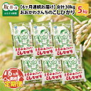 14位! 口コミ数「0件」評価「0」【令和5年産】【6ヶ月連続お届け定期便】おおかわさんちのコシヒカリ 5kg × 6回 /米 こしひかり 精米