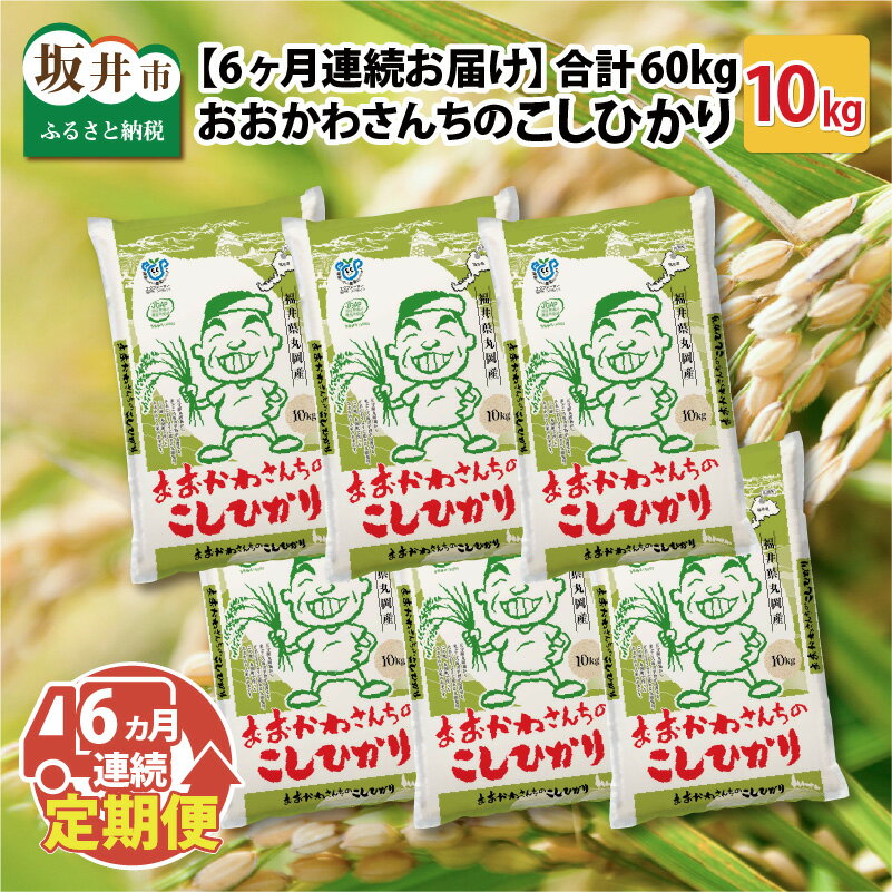 【令和5年産】【6ヶ月連続お届け定期便】おおかわさんちのコシヒカリ 10kg × 6回 /米 こしひかり 精米