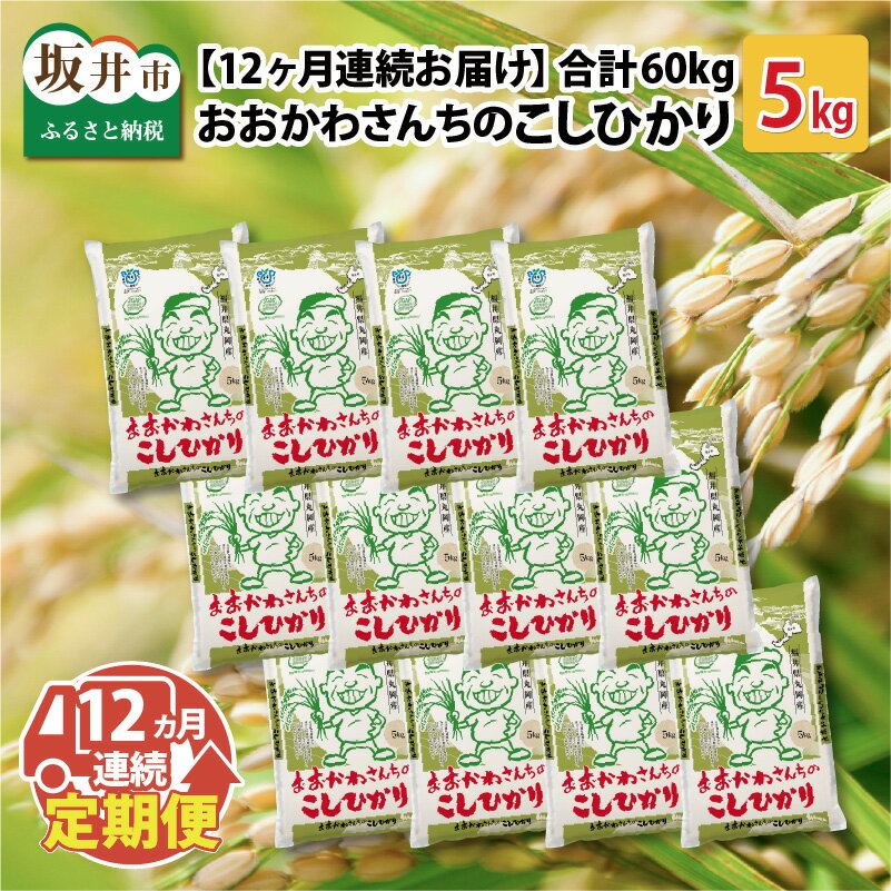 3位! 口コミ数「0件」評価「0」【令和5年産】【12ヶ月連続お届け定期便】おおかわさんちのコシヒカリ 5kg × 12回 /米 こしひかり 精米