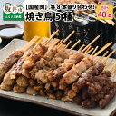 【ふるさと納税】国産肉使用 焼き鳥 5種 各8本盛り合わせ 鶏もも串・砂肝串・親鶏もも串・豚直腸串・鶏軟骨入りつくね串 【やきとり ヤキトリ 鶏モモ肉 鶏もも肉 モモ肉 つくね 串 とりにく と…