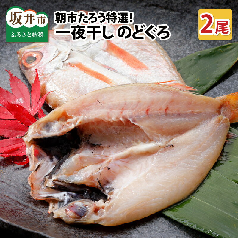 のどぐろのふるさと納税返礼品(おすすめ)│2022最新情報【HISふるさと納税比較】 のどぐろのふるさと納税返礼品(おすすめ)│2022最新情報【HISふるさと納税比較】