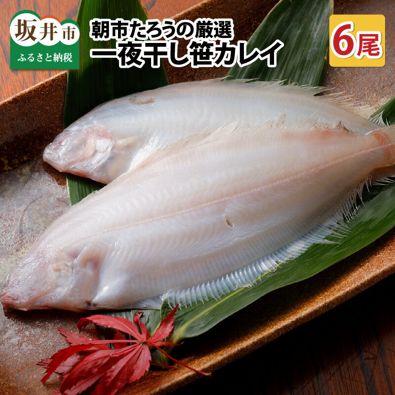 朝市たろうの厳選！ 一夜干し 笹カレイ 6尾！！ / かれい 魚 干物