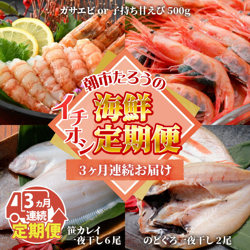 【ふるさと納税】【3ヶ月連続お届け】朝市たろうのイチオシ海鮮定期便/干物 えび 魚介