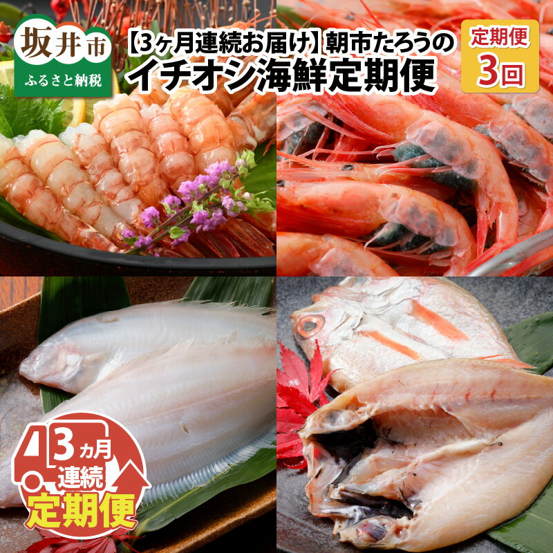 [3ヶ月連続お届け]朝市たろうのイチオシ海鮮定期便/干物 えび 魚介