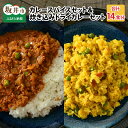 【ふるさと納税】ハーブ講師が作る 教室で人気のカレースパイスセット (5食分×2箱)& 炊込みドライカレー(2食分×2箱)お米(無洗米)付き【アレルゲンフリー】...