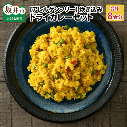 【アレルゲンフリー】ハーブ講師が作る 教室で人気の炊き込みドライカレー（2食分 × 4箱） /薬膳 キット レシピ キャンプ 時短 お家ごはん 夜ご飯