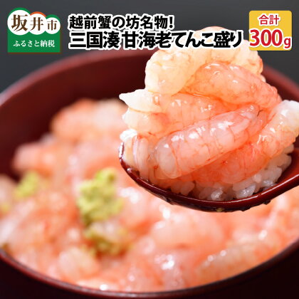 越前蟹の坊名物、三国湊 甘海老てんこ盛り300g （150g × 2袋）/ 坂井市産 福井県産 国産 送料無料