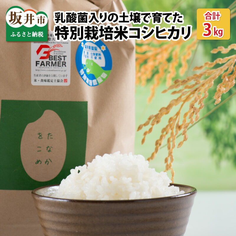 【先行予約】【令和6年産・新米】乳酸菌入りの土壌で育てた 福井県 坂井町産 特別栽培米コシヒカリ 3kg 【2024年9月中旬以降順次発送予定】 /特別栽培米 白米 玄米 お米