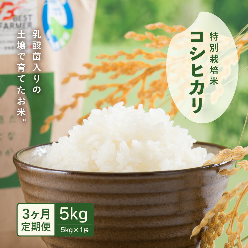 21位! 口コミ数「0件」評価「0」【先行予約】【令和6年産・新米】 定期便 ≪3ヶ月連続お届け≫ 乳酸菌入りの土壌で育てた 福井県 坂井町産 特別栽培米コシヒカリ 5kg 【･･･ 