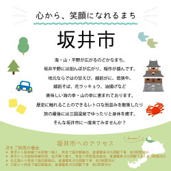 【ふるさと納税】 福井県坂井市の対象施設で使える楽天トラベルクーポン 寄附額50,000円 宿泊券 旅行券 旅行クーポン 宿泊 旅行 ホテル 旅館 利用券 チケット クーポン 観光 予約 コロナ 支援 東尋坊･･･ 画像2