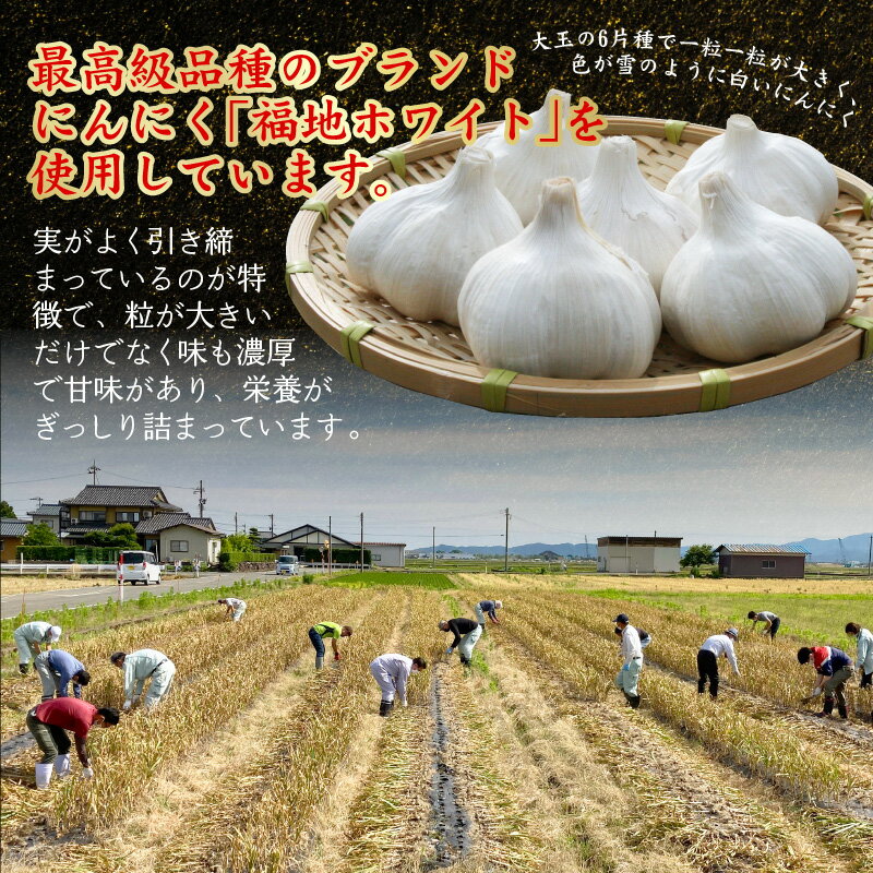 【ふるさと納税】定期便 ≪6ヶ月連続お届け≫ 黒にんにく 500g × 6回 計3kg 止まらなくなるほど美味しい！波動 熟成 『玄』 【黒にんにく にんにく 贈答 ギフト お土産 国産】