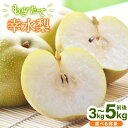 【ふるさと納税】【先行予約】【幸水梨】3kg前後 (5~8個) / 5kg前後 (8~14個) たっぷりの果汁を含んだジューシーな梨!【選べる内容量】【2025年8月上旬以降順次発送予定】【梨 なし フルーツ 甘い みずみずしい 果実 果物 新鮮 お土産 贈り物 旬の果物】