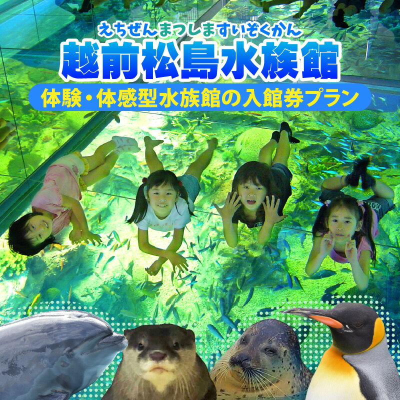 【ふるさと納税】 【越前松島水族館】 体験・体感型水族館の入館券プラン 【水族館 入場券 チケット 券 観光 旅行 利用券 入館券 体験 夏休み アウトドア】 2