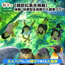 【ふるさと納税】 【越前松島水族館】 体験・体感型水族館の入