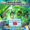 【ふるさと納税】【越前松島水族館】 特別年間パスポート「オクトパス」 【水族館 入場券 チケット 券 観光 旅行 年間パスポート 年パス 利用券 入館券 体験 ...