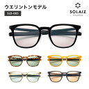 【ふるさと納税】アイケア 目元のスキンケアができるアイウェア『SOLAIZ』シャープなウエリントンモデル(SLD-005) ブラック ハバナ2 オレンジ ライム チャコール 全5色【伊達メガネ メンズ レディース 男女兼用 ユニセックス 紫外線対策 UVカット率99.9%】