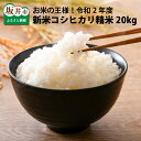 【ふるさと納税】コシヒカリ精米 20kg お米の王様!令和2