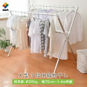 【ふるさと納税】daim 日本製 カジラク アルミ物干しシリーズ X型 3段伸縮 物干し 幅0.7m〜1.4m アタッチメント付き (全体耐荷重:20kg) 【...