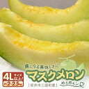 【ふるさと納税】【先行予約】 マスクメロン 4Lサイズ以上 1玉 (約2~2.5kg) 虜になる美味しさにめろめろン 【2025年10月下旬以降順次発送予定】【メロン めろん フルーツ デザート 果物 くだもの 果実 青肉 糖度 甘い ジューシー お取り寄せ グルメ 産地直送】