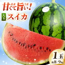 【ふるさと納税】【先行予約】 坂井市産 ハウススイカ 1玉入り 8~9kg (大玉) 一度食べたらやみつき!甘さと美味しさに心が弾む ハウススイカ! 【2026年6月中旬以降順次発送予定】【スイカ 西瓜 すいか デザート 果物 くだもの 夏 甘い ジューシー 旬の果物 産地直送】