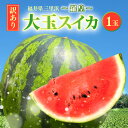 【ふるさと納税】【先行予約】【訳アリ】大玉スイカ 1玉 〜羅皇〜 【2025年7月中旬以降順次発送予定】【訳あり わけあり スイカ 西瓜 すいか デザート 果物...